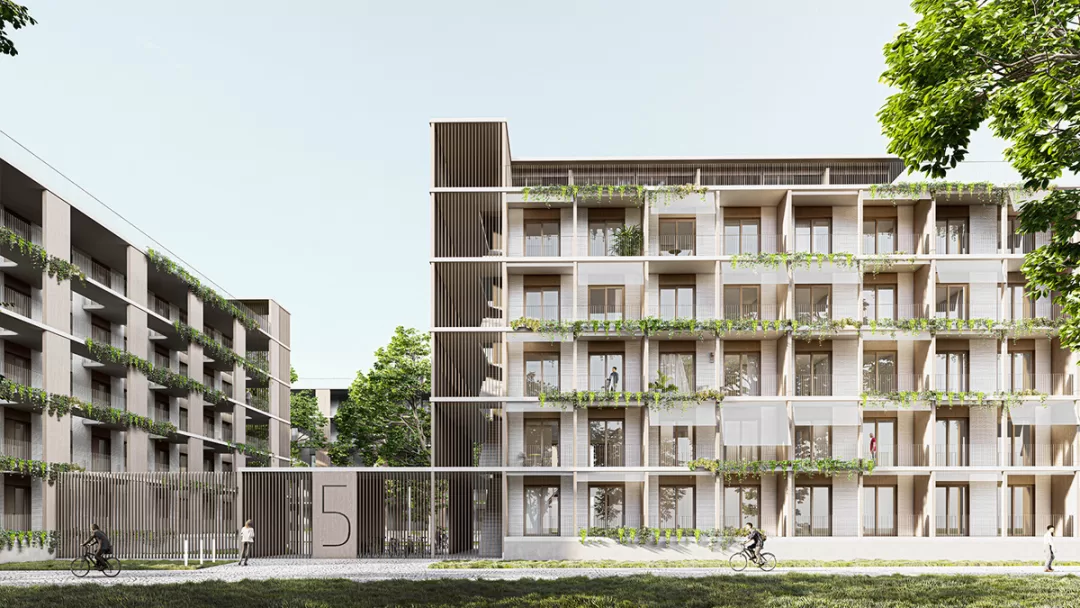 Viviendas Colaborativas